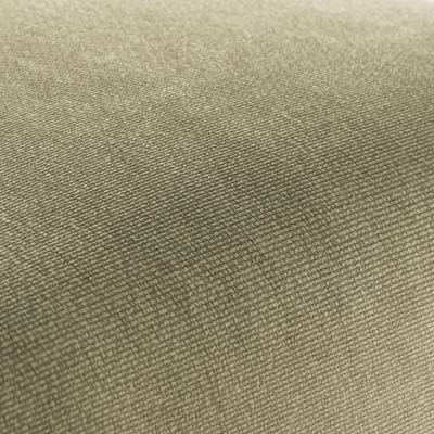 DK24-GALWAY-OLIVE