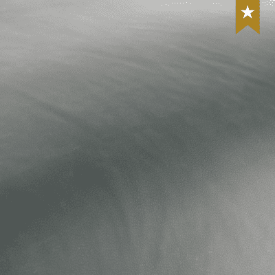 Aspen Shark
