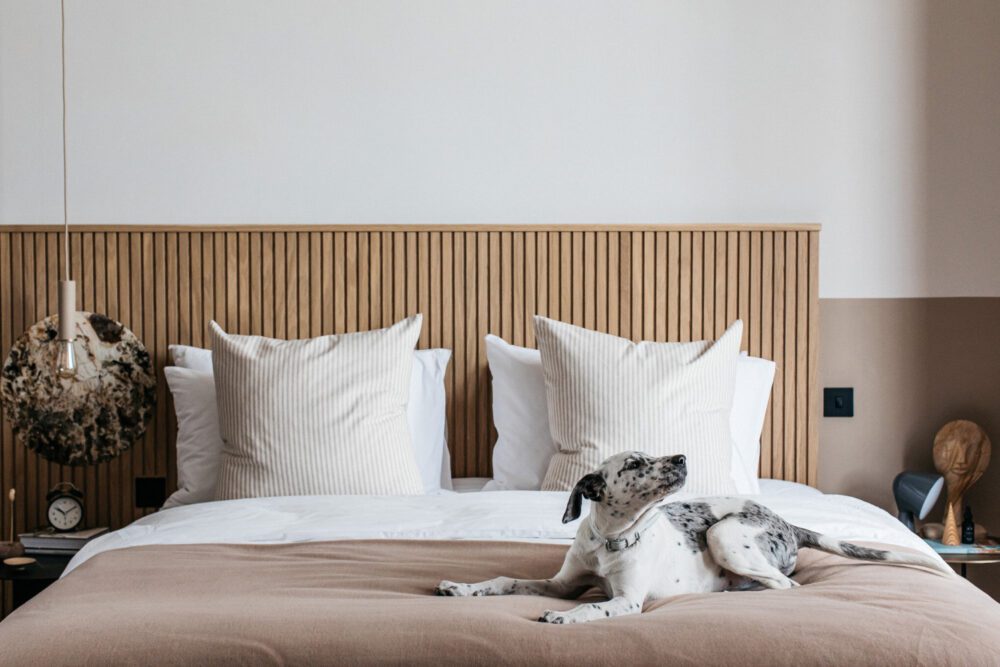 Port Hotel Bedroom A cosy, sunlit bedroom features a large bed with beige linens and white pillows. To the side, a small round table with two chairs sits by a window with soft curtains. A contemporary lamp hangs above the table, enhancing the inviting atmosphere.